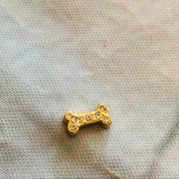 Retired/Hard To Find Origami Owl Charms - Picture 4 of 6